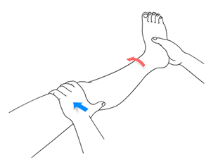 Nonoperative Treatments for ACL Injuries