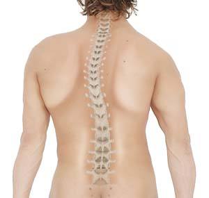 Adult Scoliosis Correction